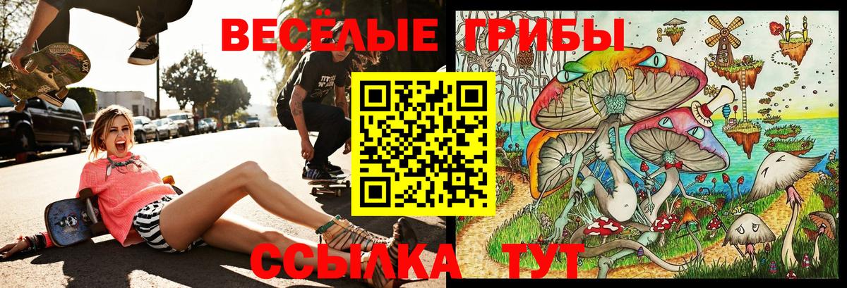 Галлюциногенные грибы Cubensis Кумертау