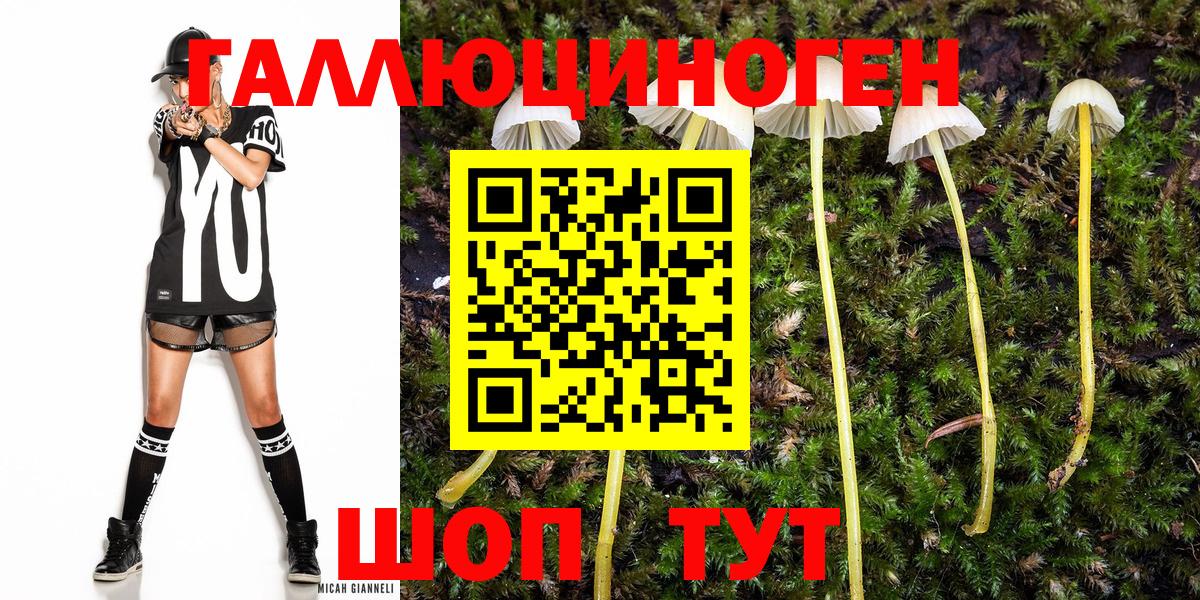 магазин продажи   Псилоцибиновые грибы мухоморы  Кумертау  Вход с VPN  Псилоцибиновые грибы мухоморы 